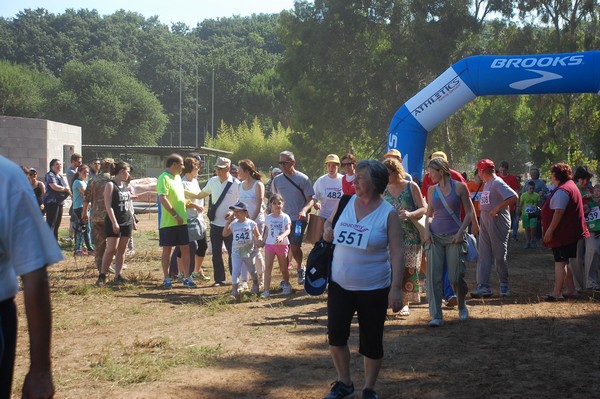 Trofeo Città di Nettuno (02/06/2015) 00033