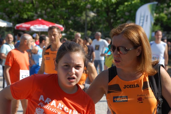 Maratonina di Villa Adriana (31/05/2015) 00031