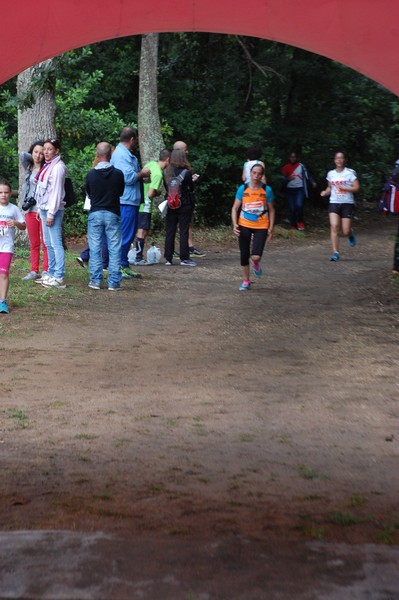 Cross Trofeo Città di Nettuno (TOP) (02/06/2016) 00195