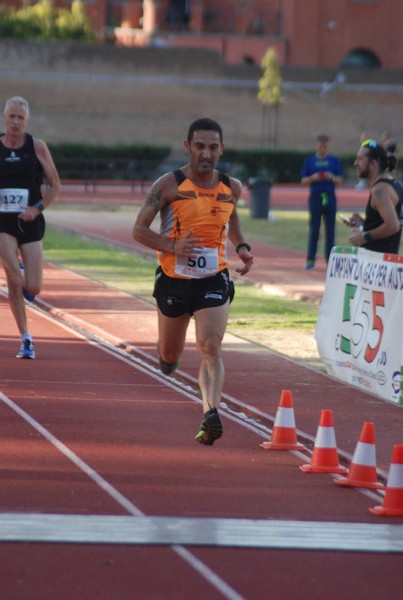 Il 3000 di Emilio (TS, CA) (22/10/2016) 00075