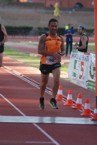 Il 3000 di Emilio (TS, CA) (22/10/2016) 00076