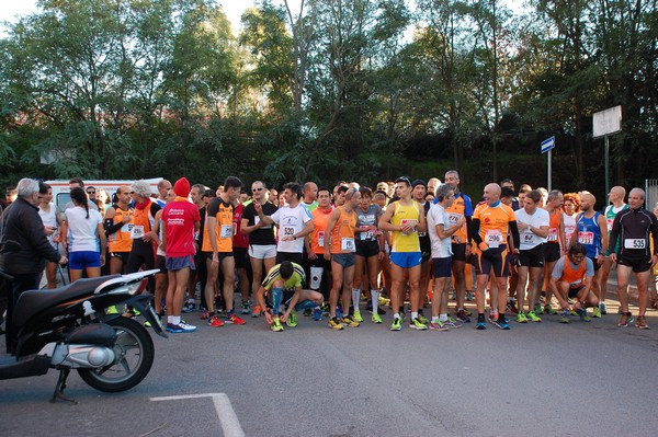 Maratonina di S.Alberto Magno (12/11/2016) 00001