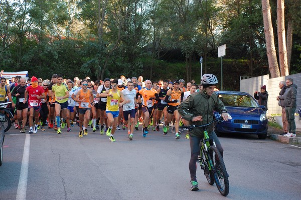 Maratonina di S.Alberto Magno (12/11/2016) 00002