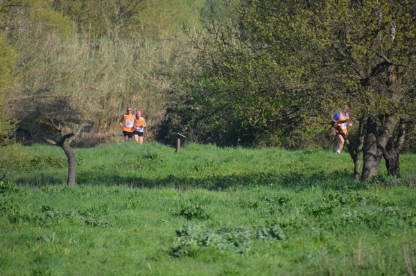 Cross della Caffarella (TOP) (26/03/2016) 043