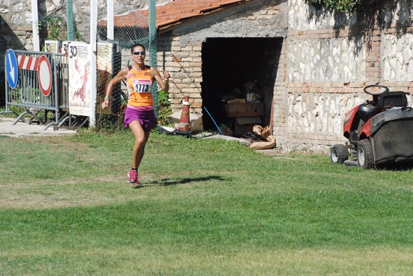 Gara della Solidarietà di Tagliacozzo (C.E.) (04/09/2016) 00089