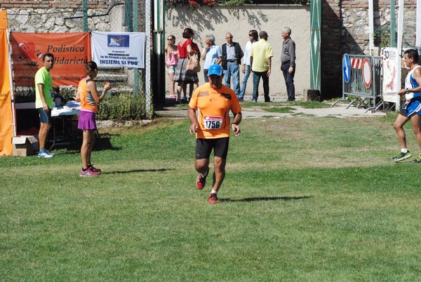 Gara della Solidarietà di Tagliacozzo (C.E.) (04/09/2016) 00114