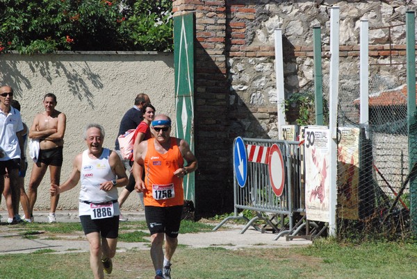 Gara della Solidarietà di Tagliacozzo (C.E.) (04/09/2016) 00145