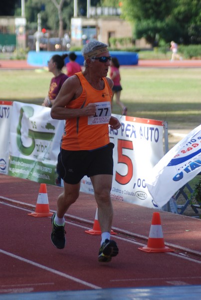 Il 3000 di Emilio (TS, CA) (22/10/2016) 00117
