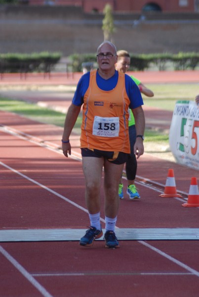 Il 3000 di Emilio (TS, CA) (22/10/2016) 00141