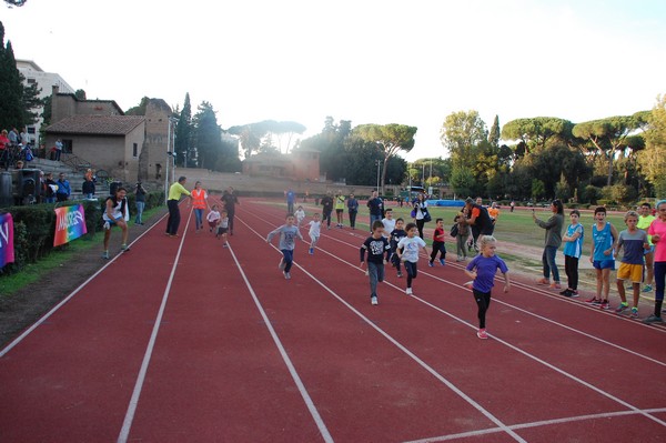 Il 3000 di Emilio (TS, CA) (22/10/2016) 00026