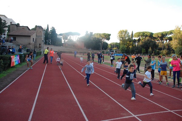 Il 3000 di Emilio (TS, CA) (22/10/2016) 00027