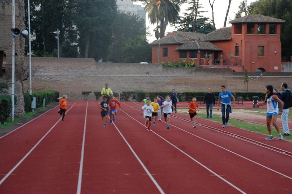 Il 3000 di Emilio (TS, CA) (22/10/2016) 00039