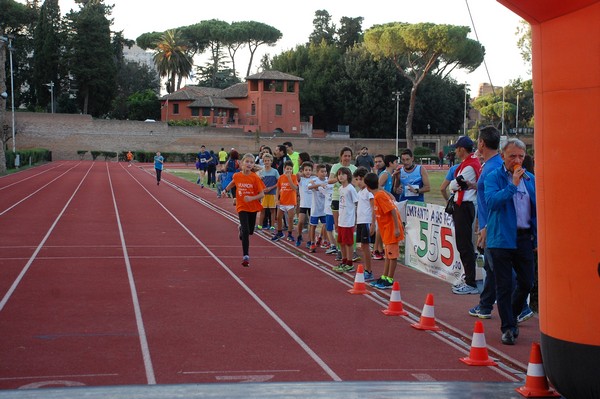 Il 3000 di Emilio (TS, CA) (22/10/2016) 00085