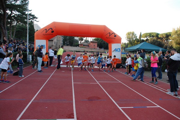 Il 3000 di Emilio (TS, CA) (22/10/2016) 00104