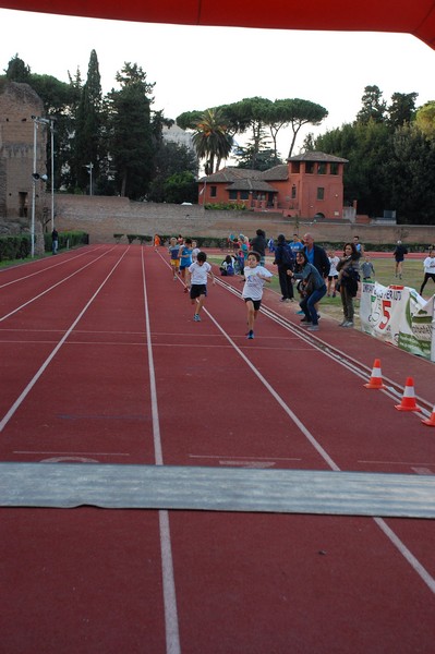 Il 3000 di Emilio (TS, CA) (22/10/2016) 00114