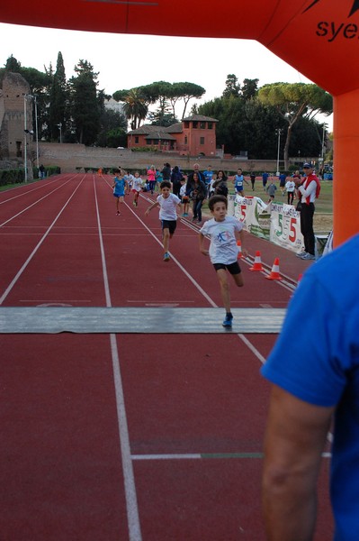 Il 3000 di Emilio (TS, CA) (22/10/2016) 00117