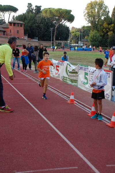 Il 3000 di Emilio (TS, CA) (22/10/2016) 00135
