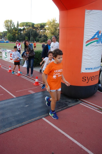 Il 3000 di Emilio (TS, CA) (22/10/2016) 00139