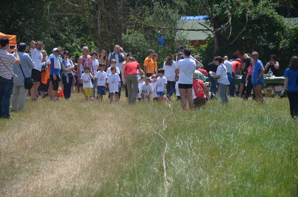 Cross CorriLIPU (TOP) (05/06/2016) 00005