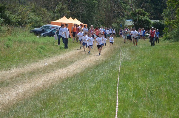Cross CorriLIPU (TOP) (05/06/2016) 00014