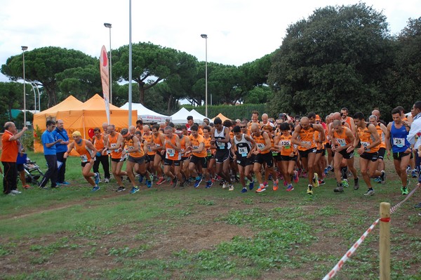 Trofeo Podistica Solidarietà (TOP,CE) (18/09/2016) 00005