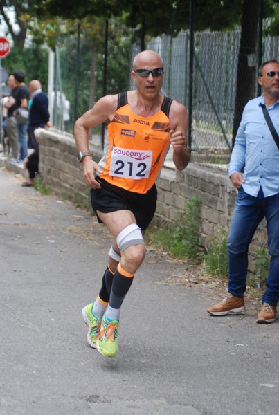 Maratonina di Villa Adriana (CCRun) (29/05/2016) 00050