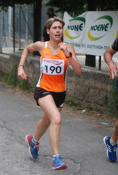 Maratonina di Villa Adriana (CCRun) (29/05/2016) 00102