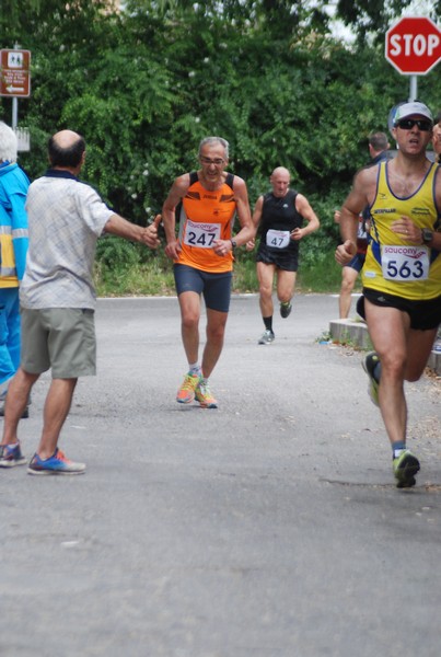 Maratonina di Villa Adriana (CCRun) (29/05/2016) 00118