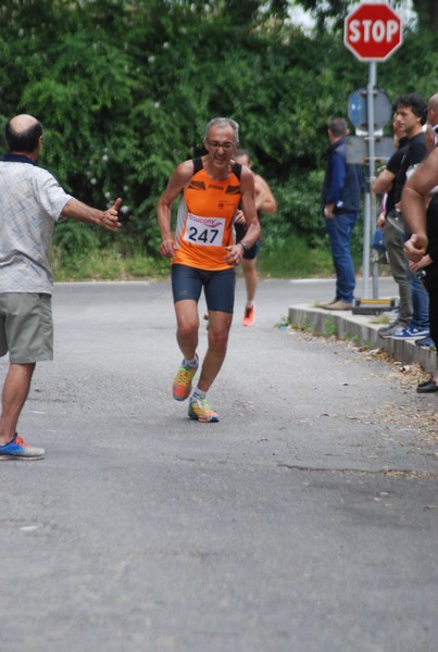 Maratonina di Villa Adriana (CCRun) (29/05/2016) 00119