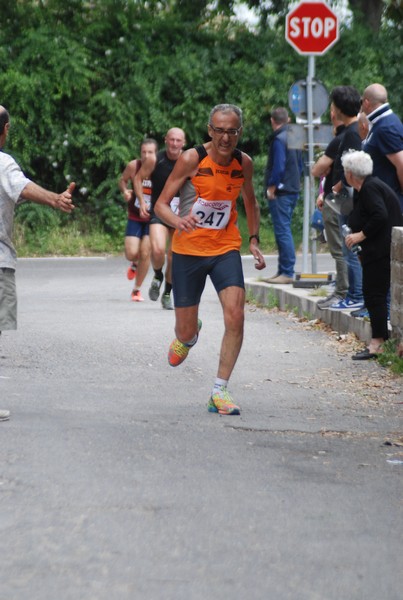 Maratonina di Villa Adriana (CCRun) (29/05/2016) 00120