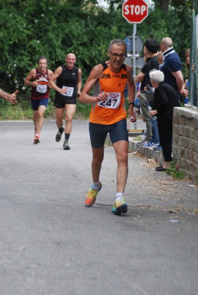 Maratonina di Villa Adriana (CCRun) (29/05/2016) 00121