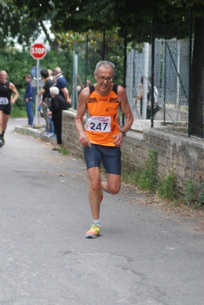 Maratonina di Villa Adriana (CCRun) (29/05/2016) 00124
