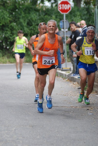 Maratonina di Villa Adriana (CCRun) (29/05/2016) 00130