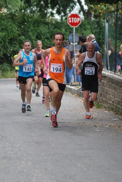 Maratonina di Villa Adriana (CCRun) (29/05/2016) 00153