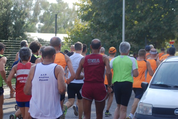 Run for Biodiversity (24/09/2016) 00036