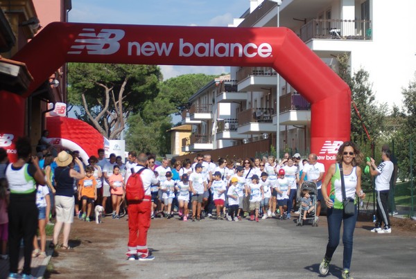 Run for Biodiversity (24/09/2016) 00041