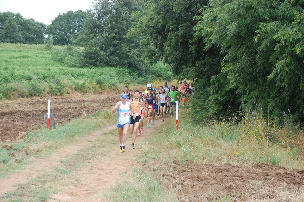 Cross Trofeo Città di Nettuno (TOP) (02/06/2016) 00004
