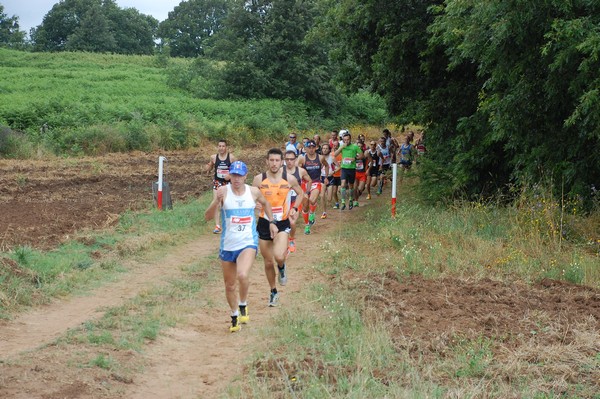 Cross Trofeo Città di Nettuno (TOP) (02/06/2016) 00007