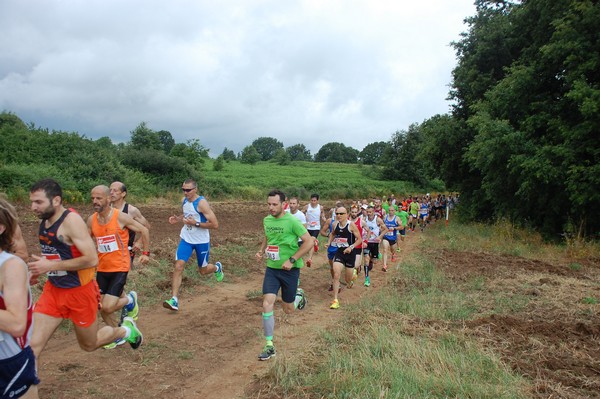 Cross Trofeo Città di Nettuno (TOP) (02/06/2016) 00019