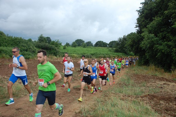 Cross Trofeo Città di Nettuno (TOP) (02/06/2016) 00020