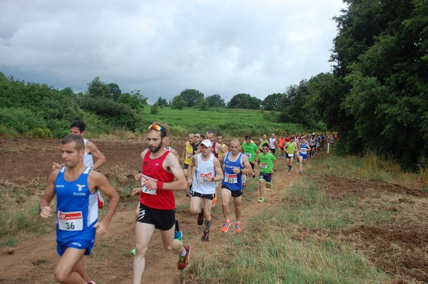 Cross Trofeo Città di Nettuno (TOP) (02/06/2016) 00022