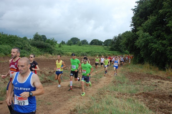 Cross Trofeo Città di Nettuno (TOP) (02/06/2016) 00024