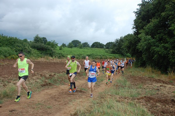 Cross Trofeo Città di Nettuno (TOP) (02/06/2016) 00027