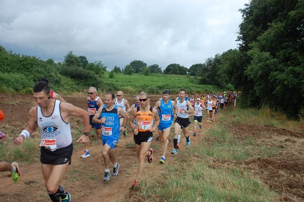 Cross Trofeo Città di Nettuno (TOP) (02/06/2016) 00033