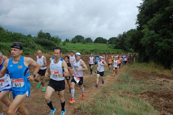 Cross Trofeo Città di Nettuno (TOP) (02/06/2016) 00035
