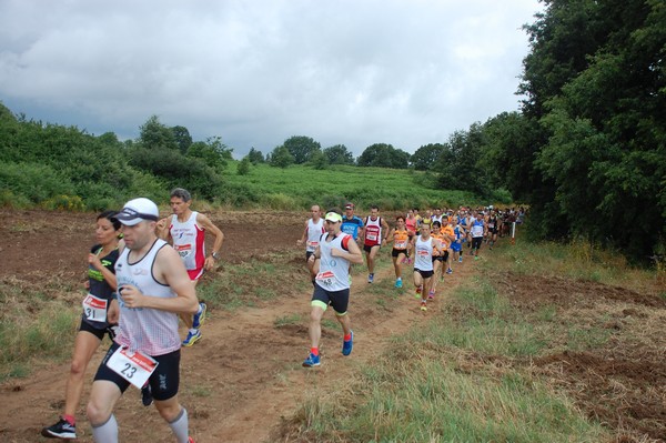 Cross Trofeo Città di Nettuno (TOP) (02/06/2016) 00036