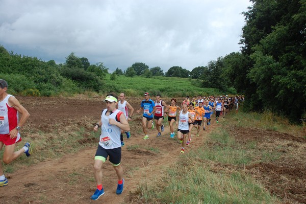 Cross Trofeo Città di Nettuno (TOP) (02/06/2016) 00037