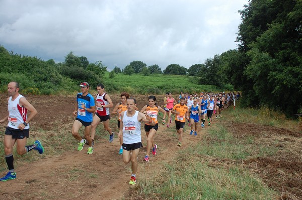 Cross Trofeo Città di Nettuno (TOP) (02/06/2016) 00039