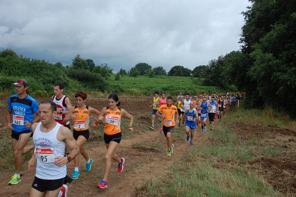 Cross Trofeo Città di Nettuno (TOP) (02/06/2016) 00040