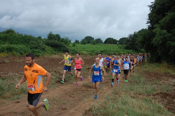 Cross Trofeo Città di Nettuno (TOP) (02/06/2016) 00042